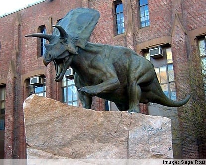 Fun Things To Do With The Whole Family In New Haven